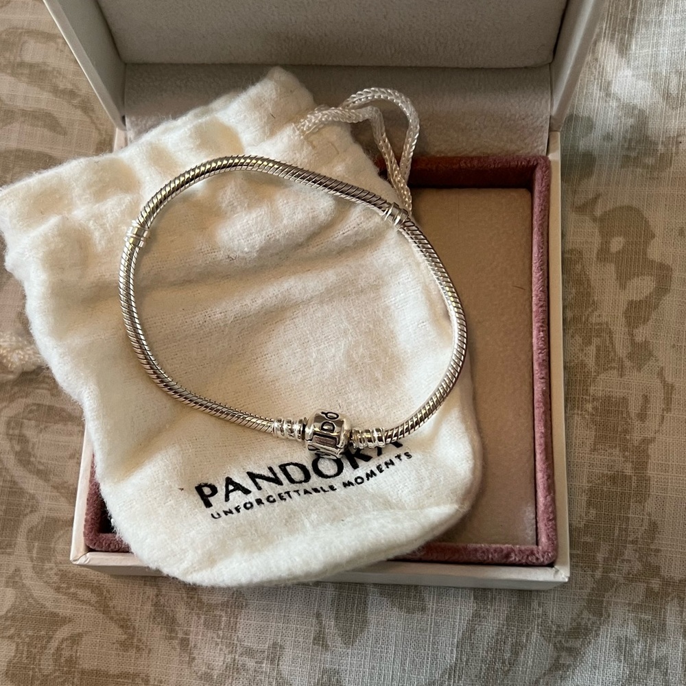 Pandora Barrel Clasp Snake Bracelet